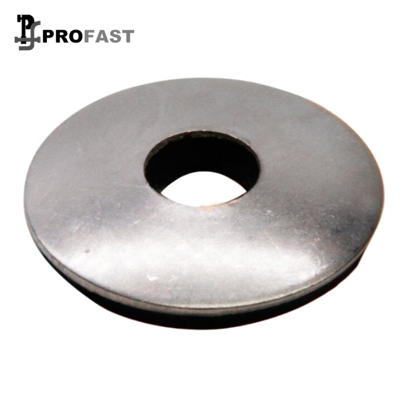 Bonded Washer (SS)