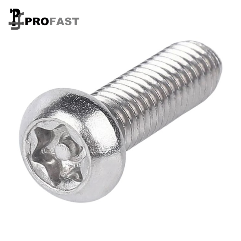Button Head Torx Screw (SS)