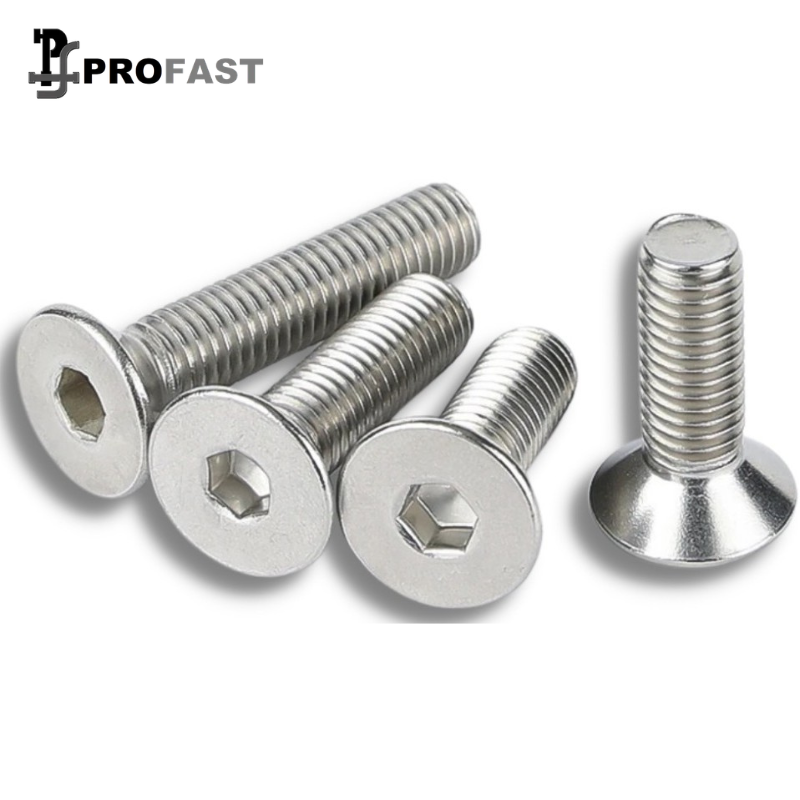 Countersunk Head Cap Screw (SS)