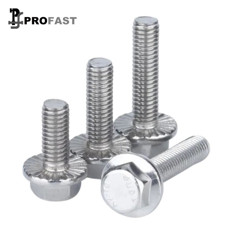 Flange Bolt (SS)