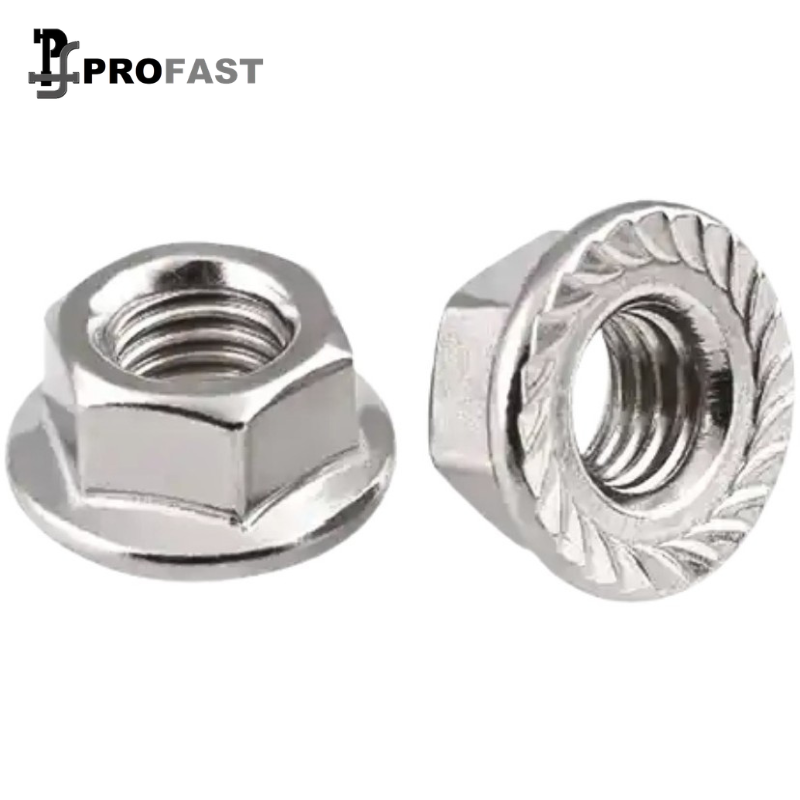 Flange Nut (SS)