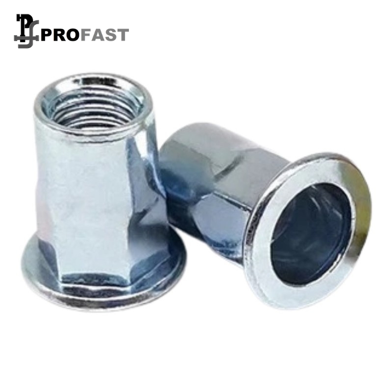 Hexagon Rivet Nut BEM (ZP)