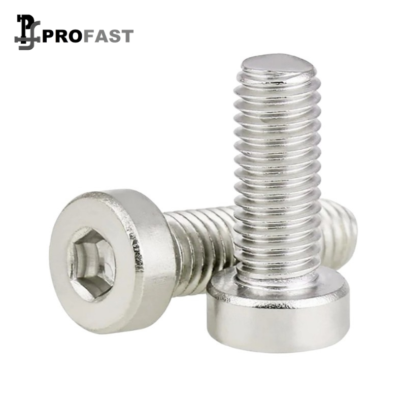 Low Head Cap Screw (SS)
