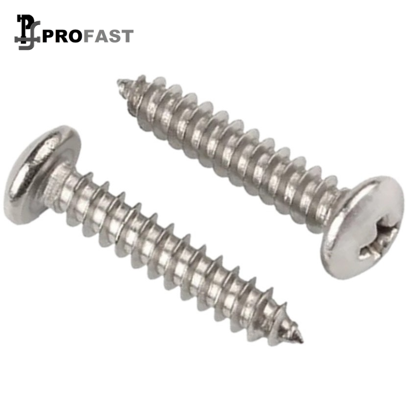 Pan Head Self Drilling Screw (SS)