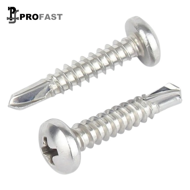 Pan Head Self Drilling Screw (SS410)