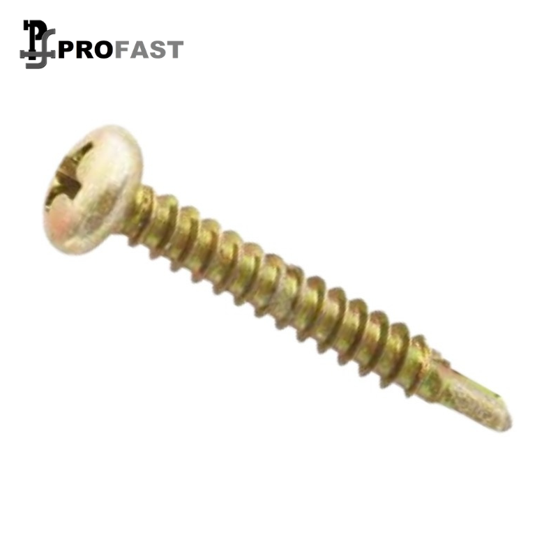 Pan Head Self Drilling Screw (ZY)