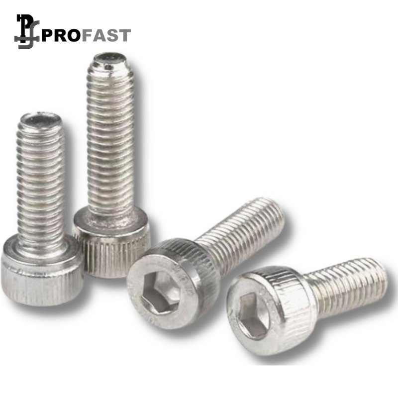 Socket Head Cap Screw (SS)