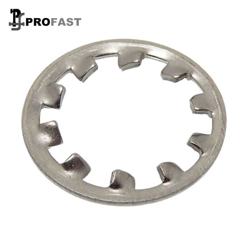 Tooth Lock Washer Int (SS)