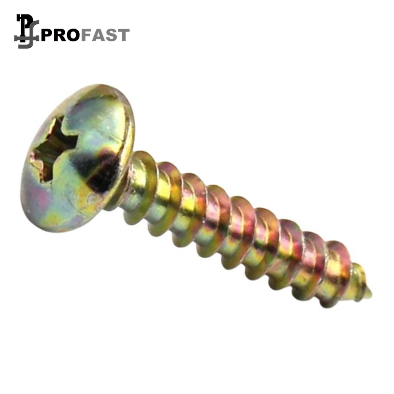 Truss Head Self Tapping Screw (ZY)
